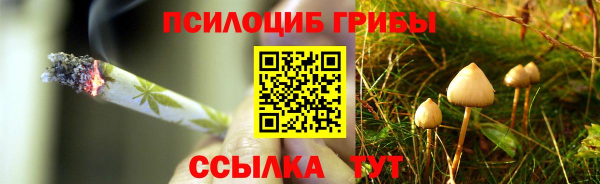 Псилоцибиновые грибы MAGIC MUSHROOMS Ижевск